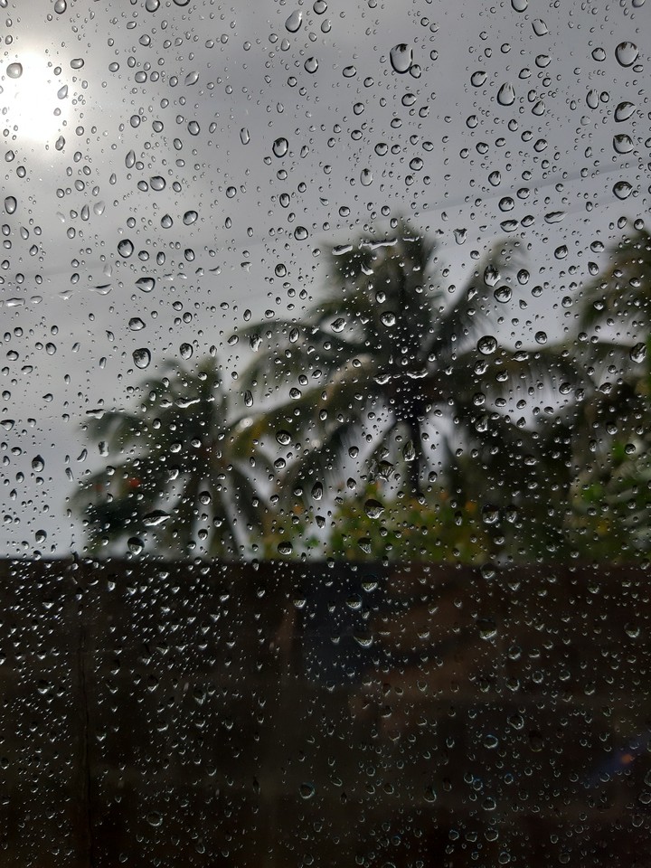 Rain ia the confetti of the sky
