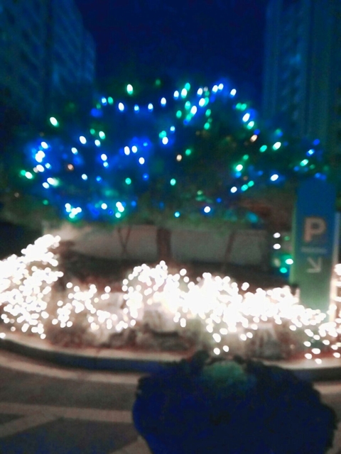 decor, lighting桌布