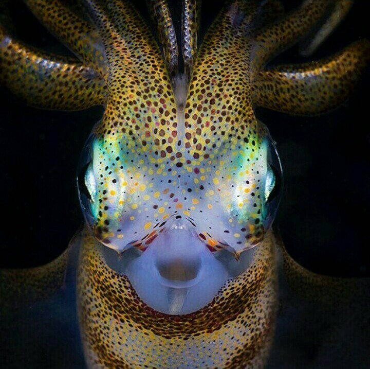 cool