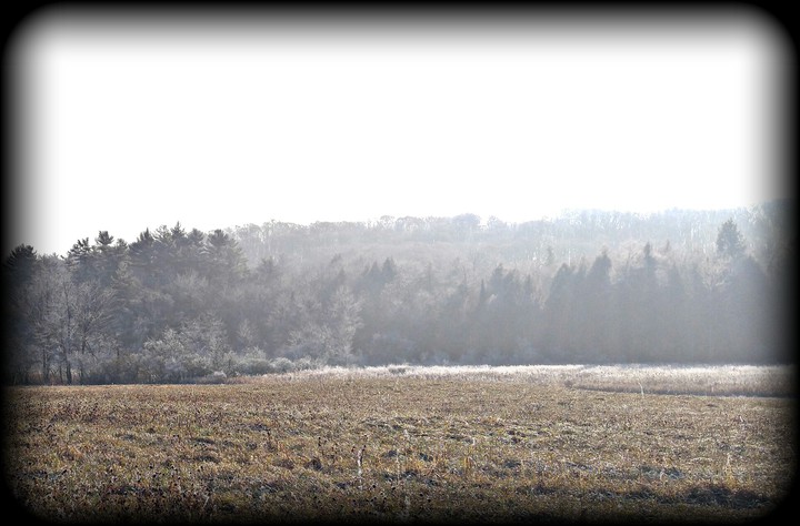 fog
