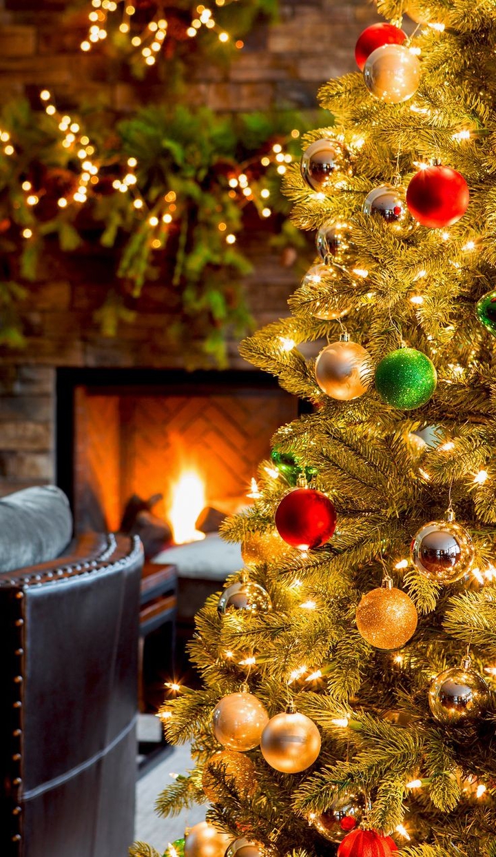 fir_sapin