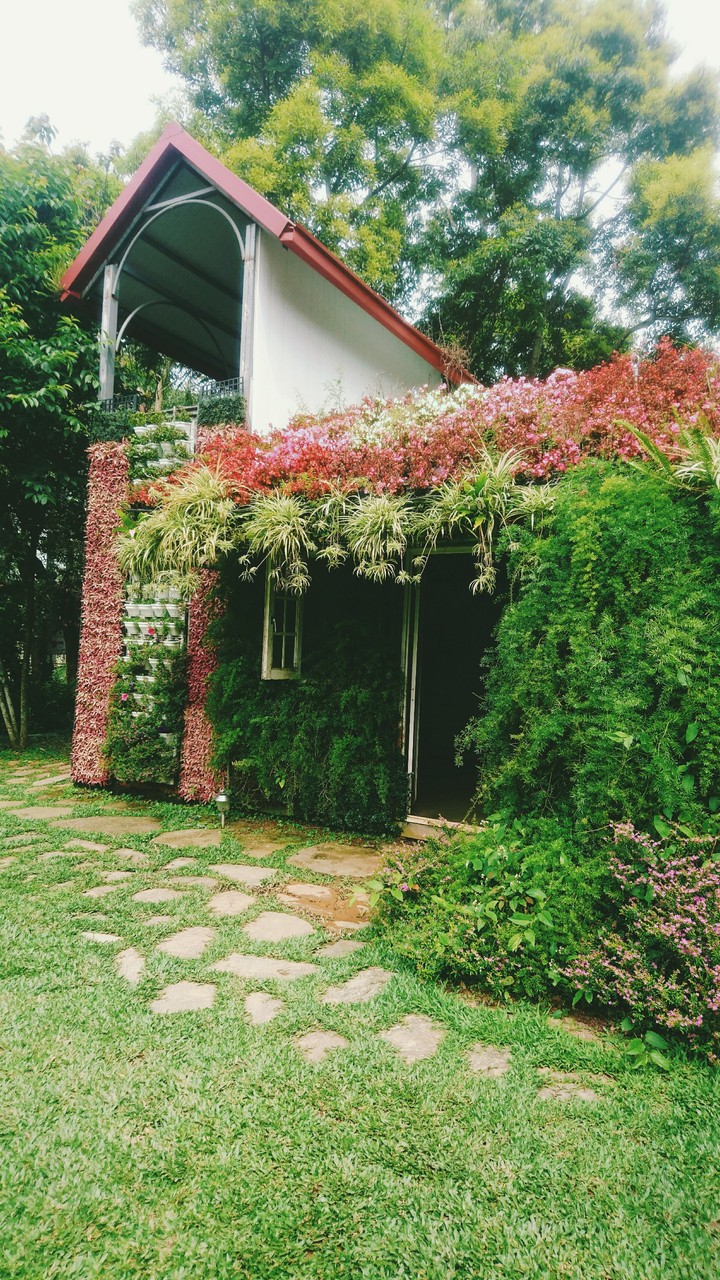 lovely flower castle