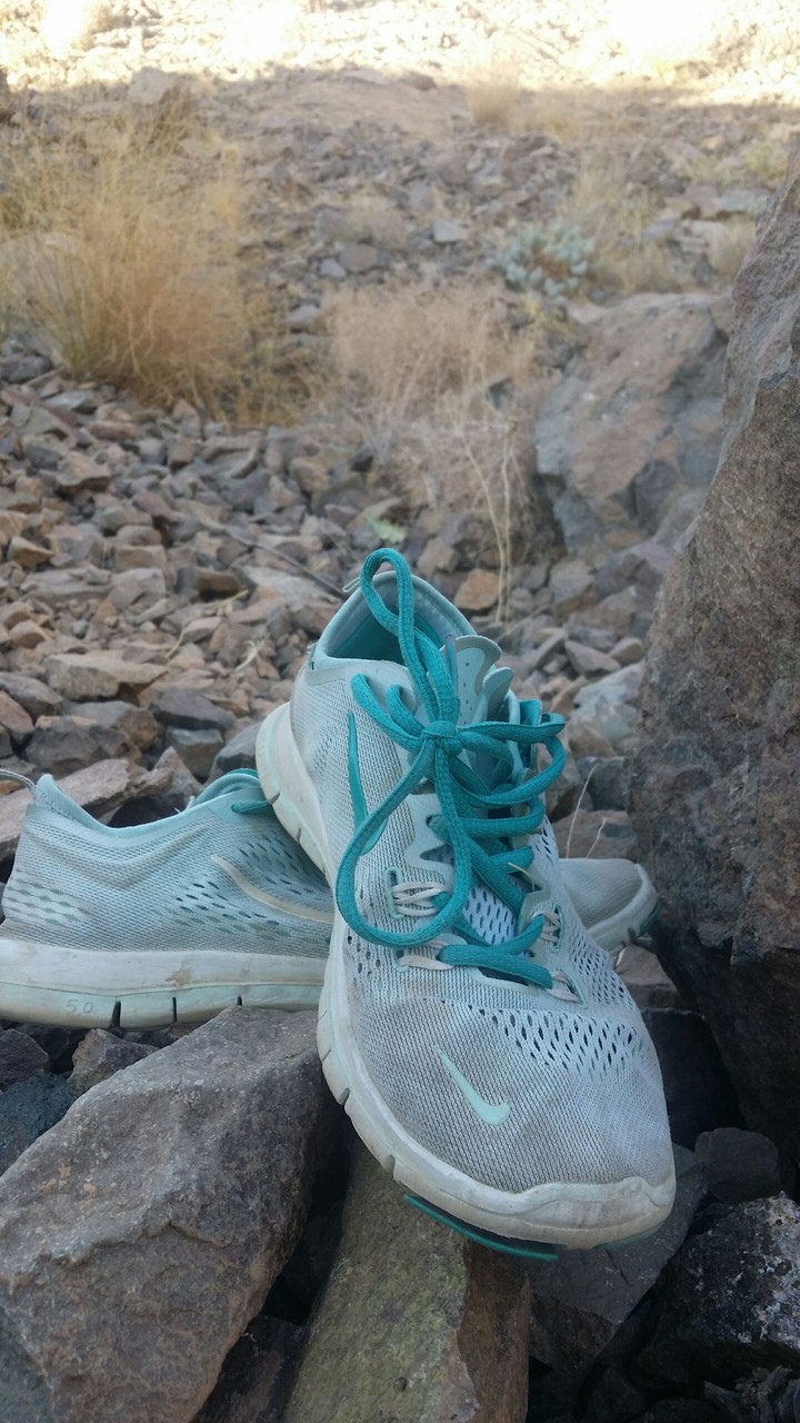 shoe