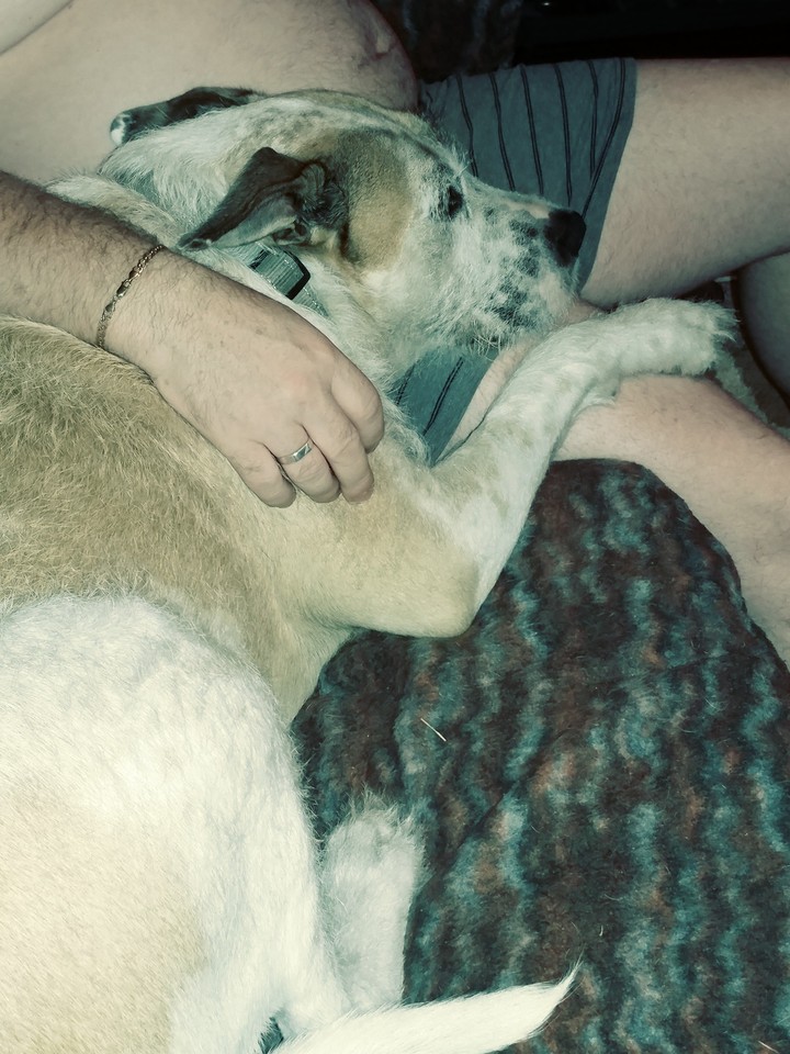 Wally 