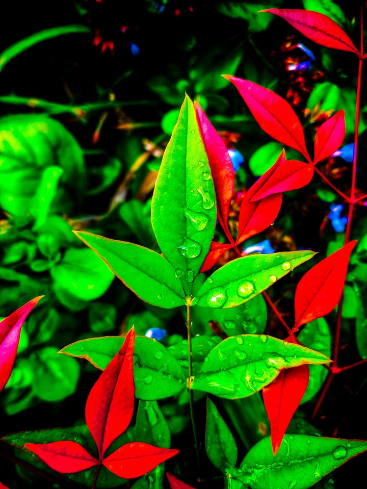 comment below colorgrad by follow me on instagram @mraman019
