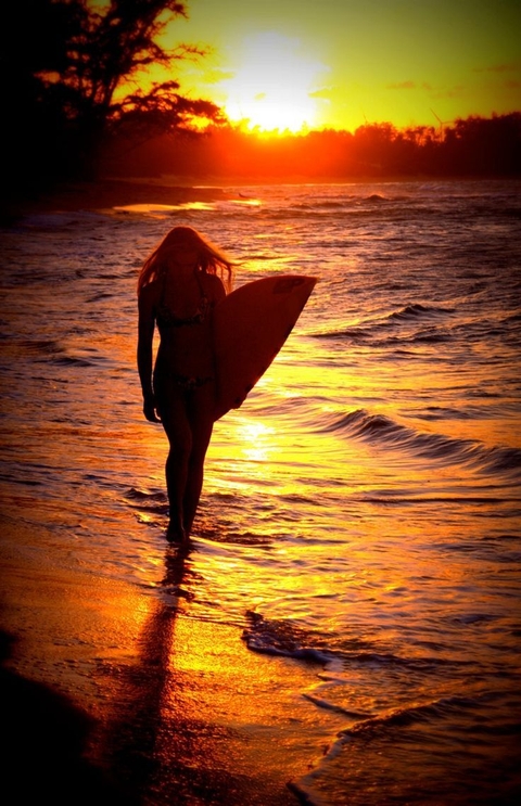 summer, dusk壁紙