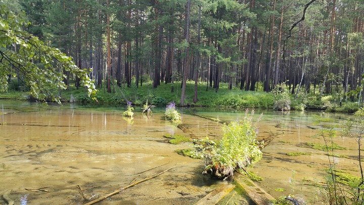 река Иретка