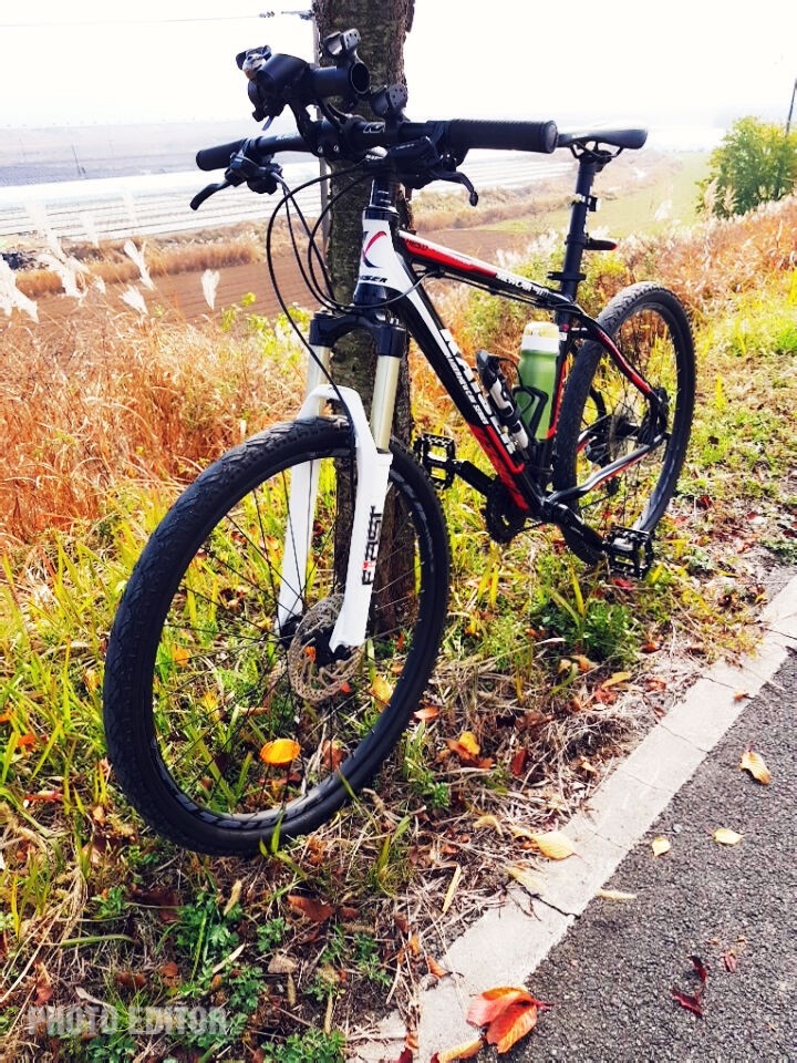 my mtb