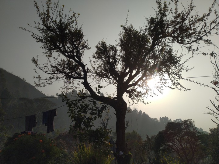 SUNRISE