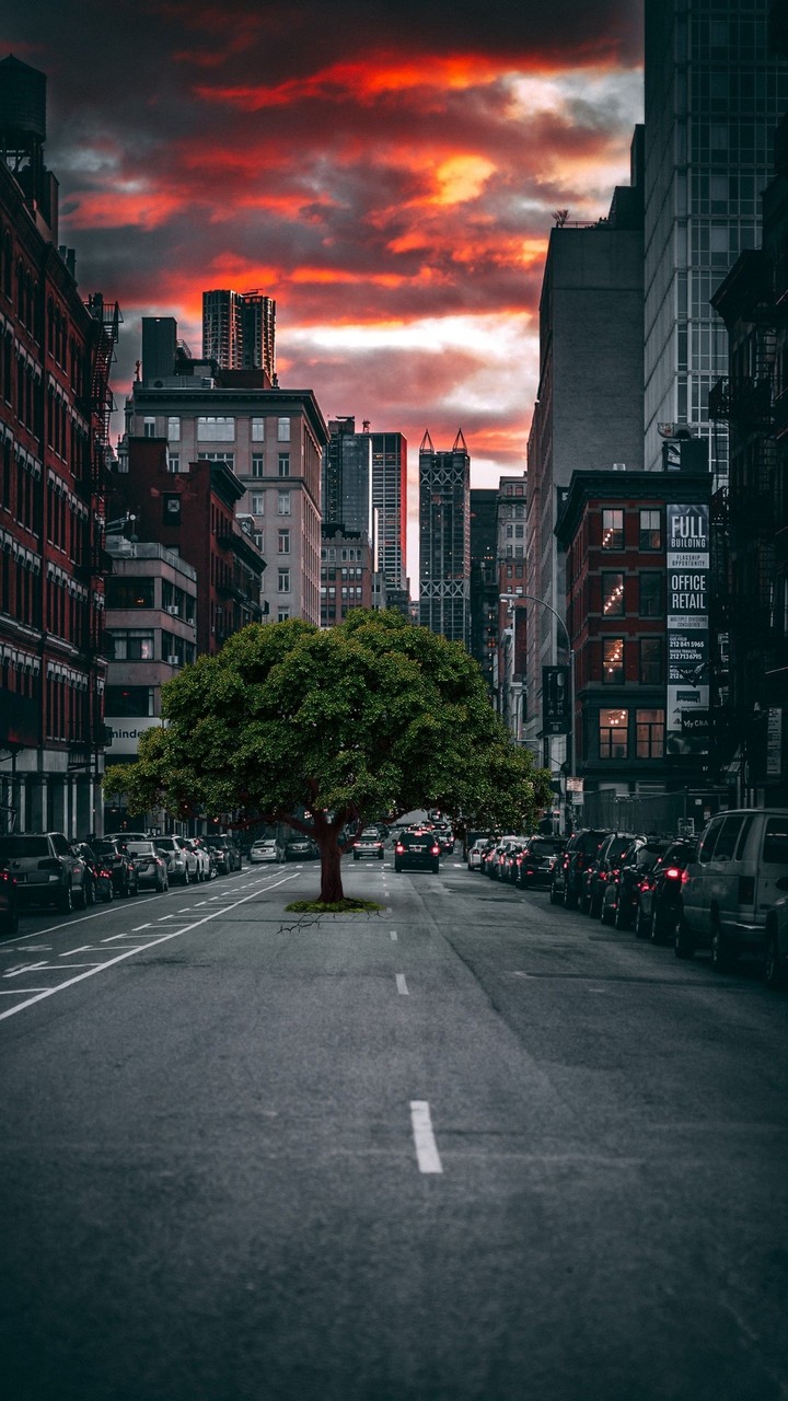 Road