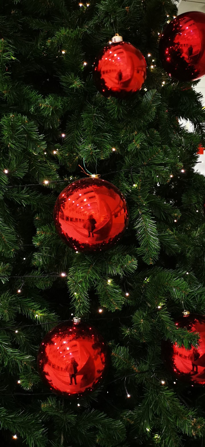 navidad