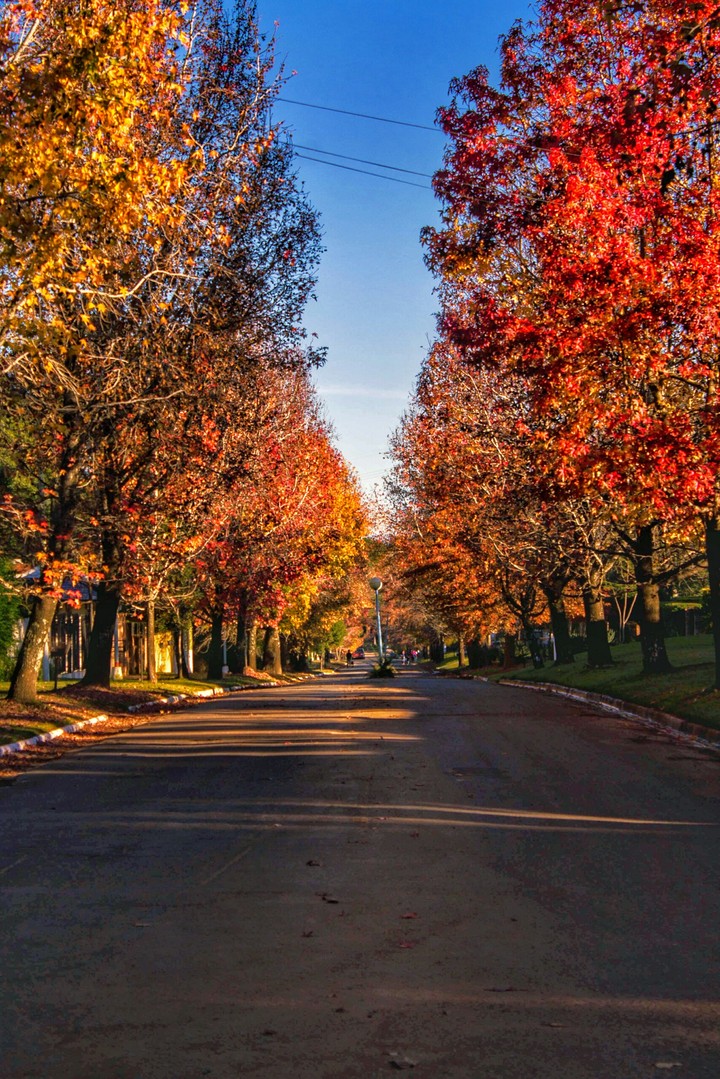 caminos otoñales