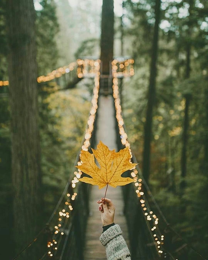 Beautiful