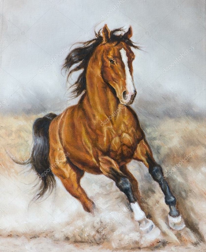 horse
