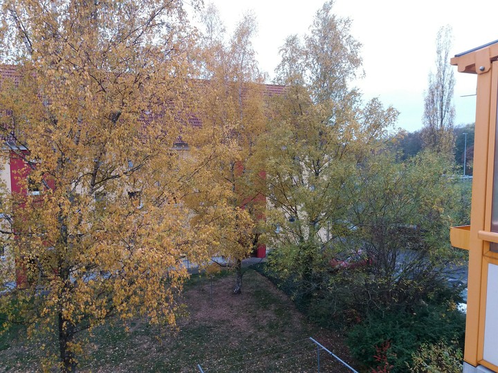Herbst goldene