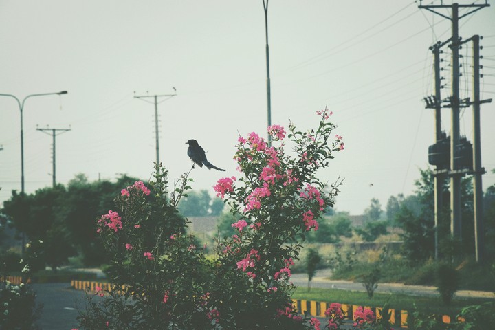 EnjoinG Weather