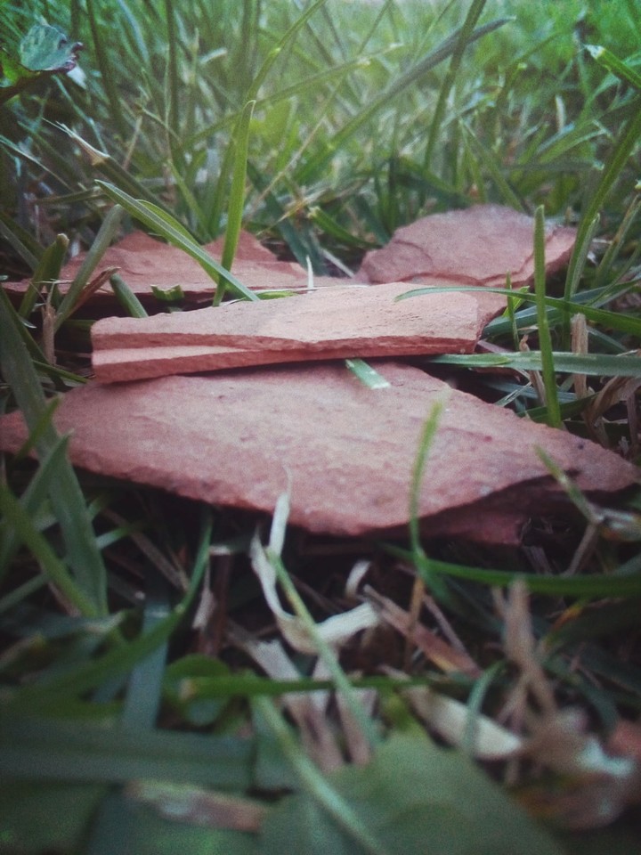 UnderGrass