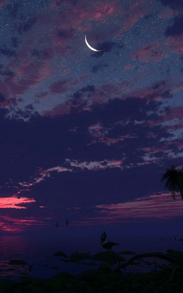 Romantic Night View of Sky  ❤HM❤