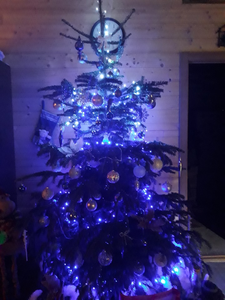 blue Christmas tree