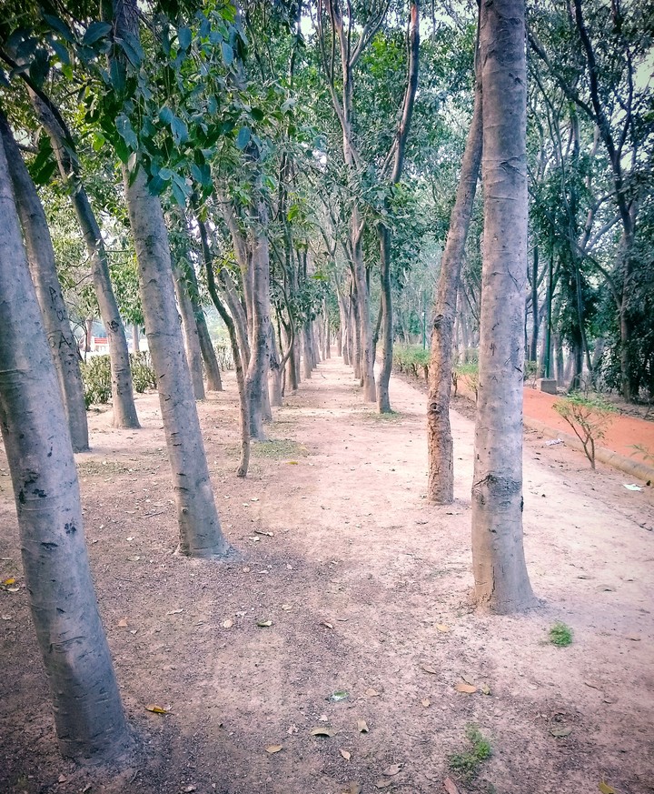 No End