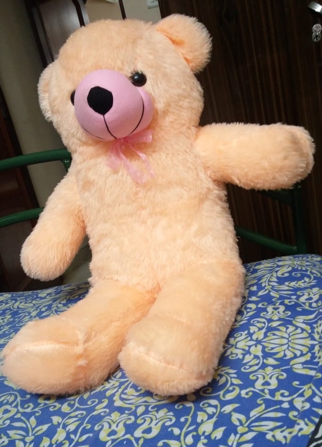 teddy