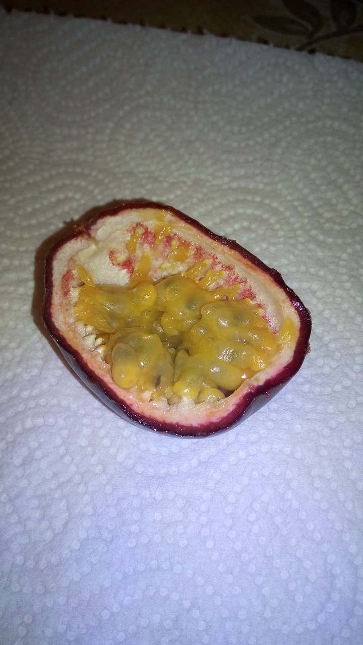 passion fruit