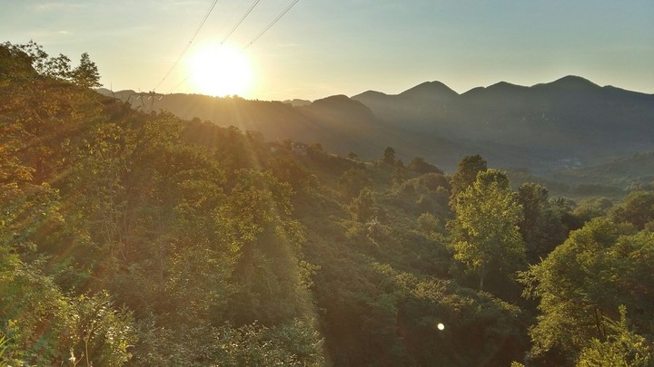 Ordu