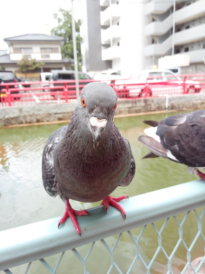 hi there