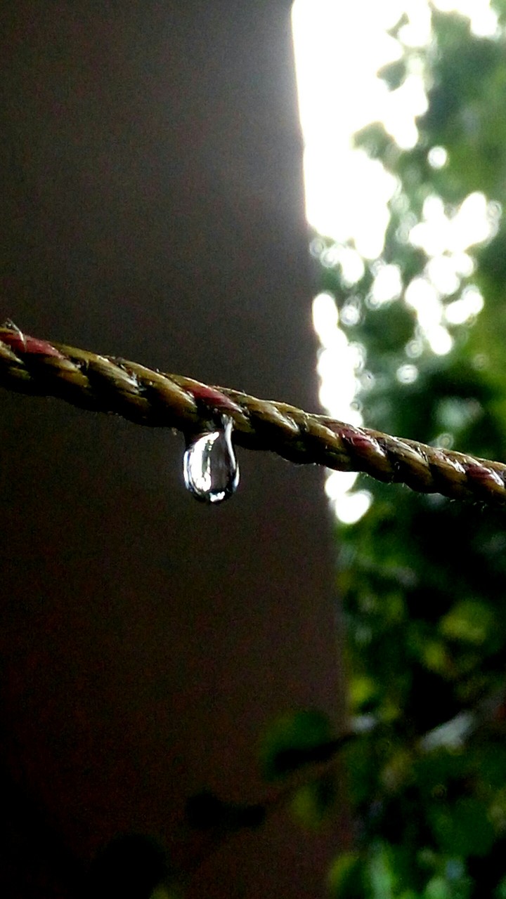 drop