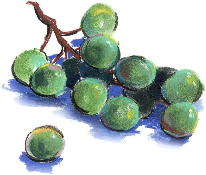 수채화시리즈