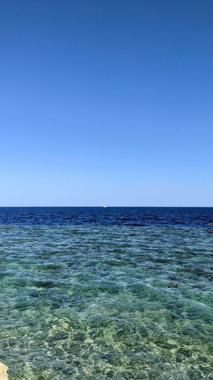 Red sea