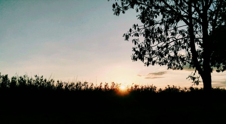 horizon