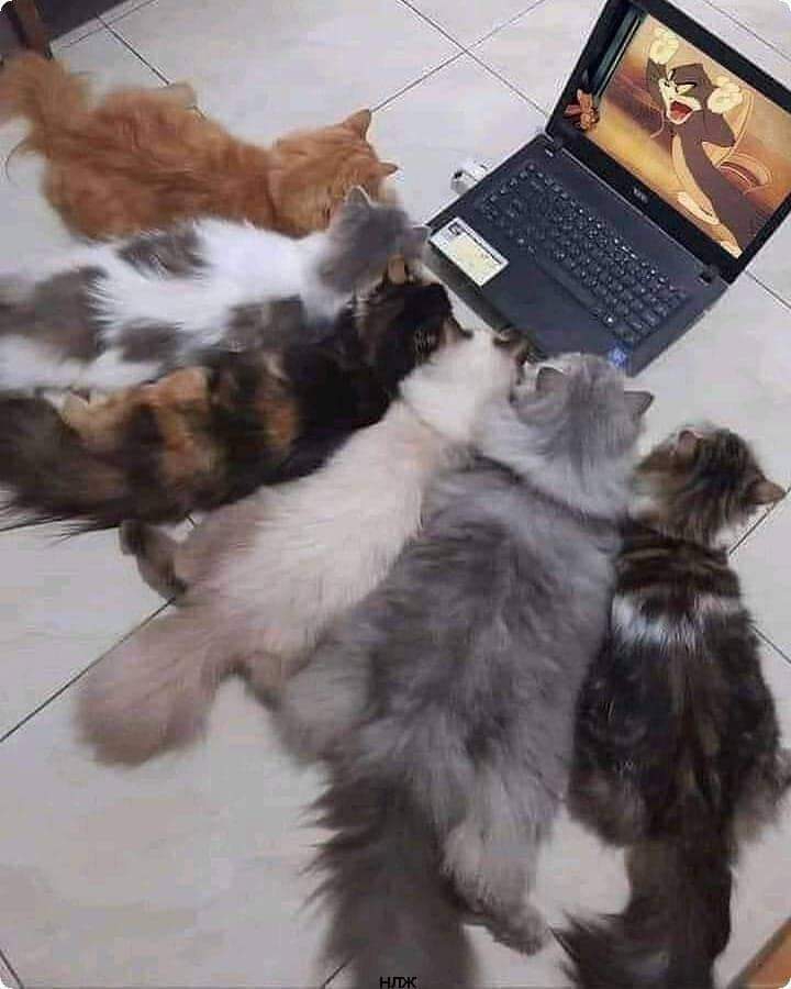 *