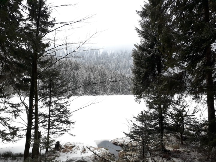 Snow