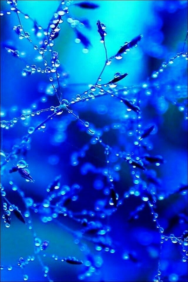 royal blue.. drop