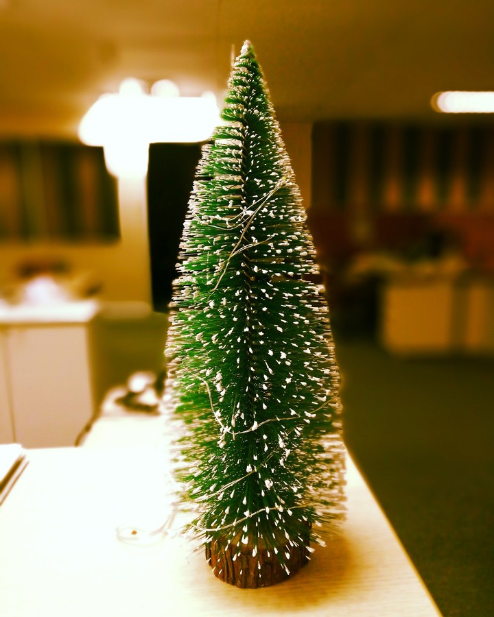 X'mas tree