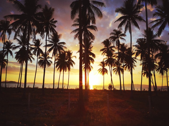 Island Sunset