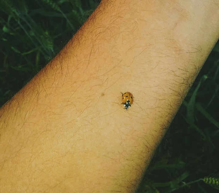 on my hand....