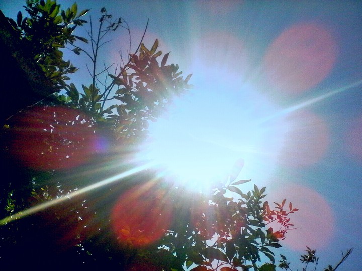 Morning Sunlight
