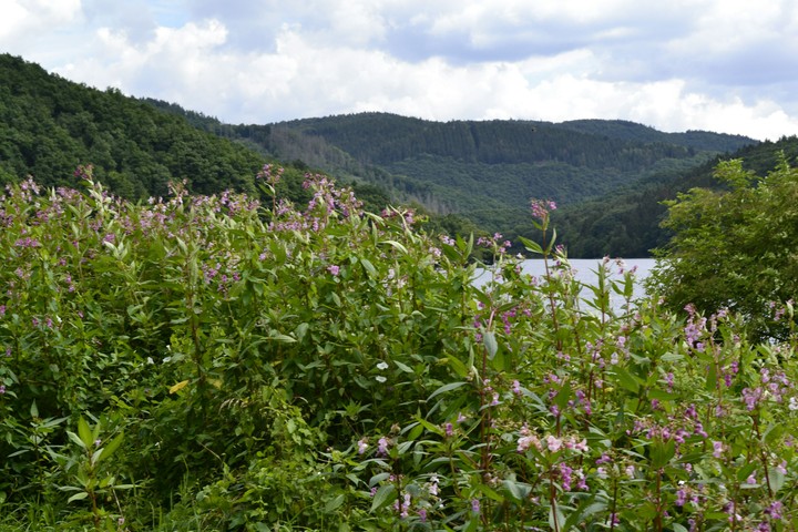 Einruhr (Germany)