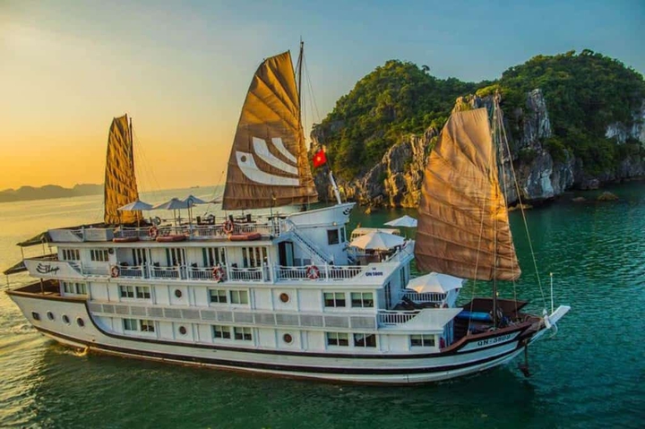 cruises