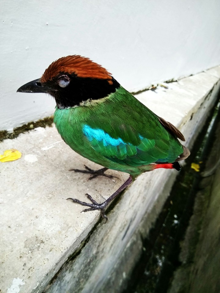 colourful