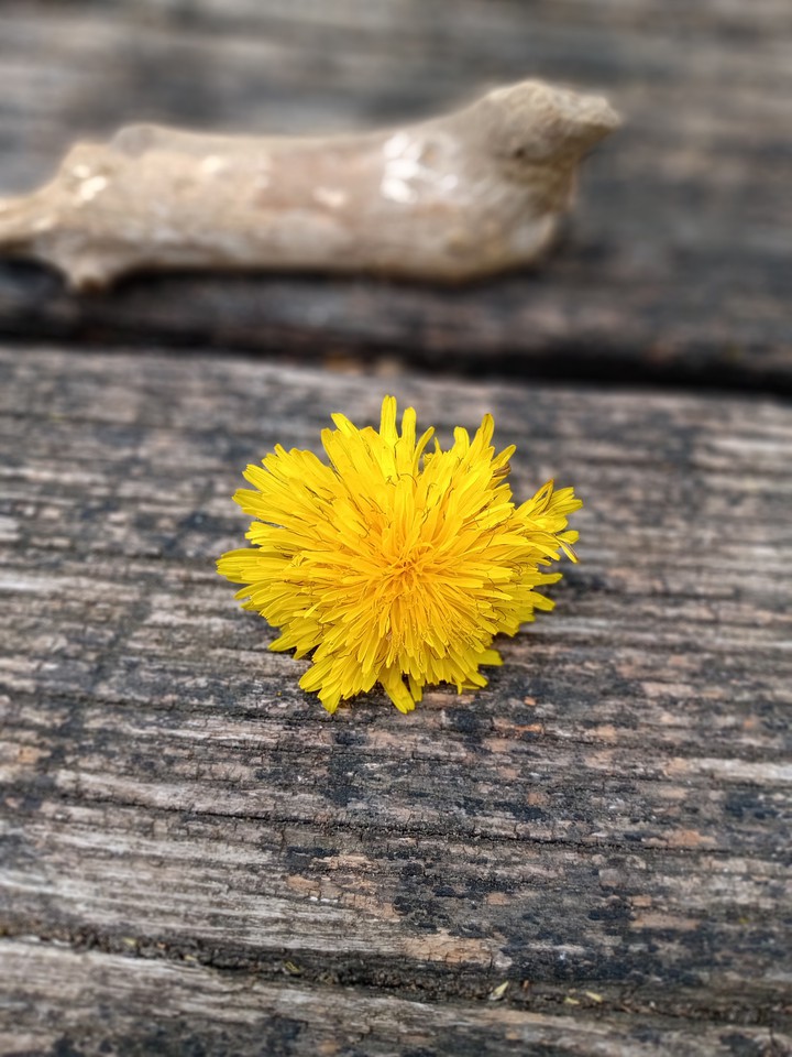yellow ?