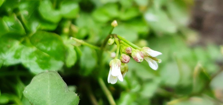 Frühling