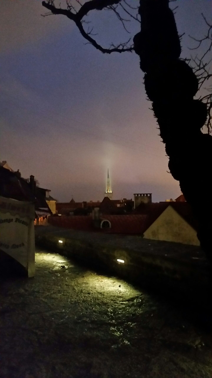 Tallin