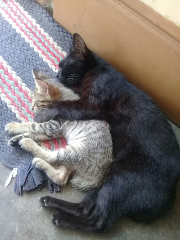 cuddling