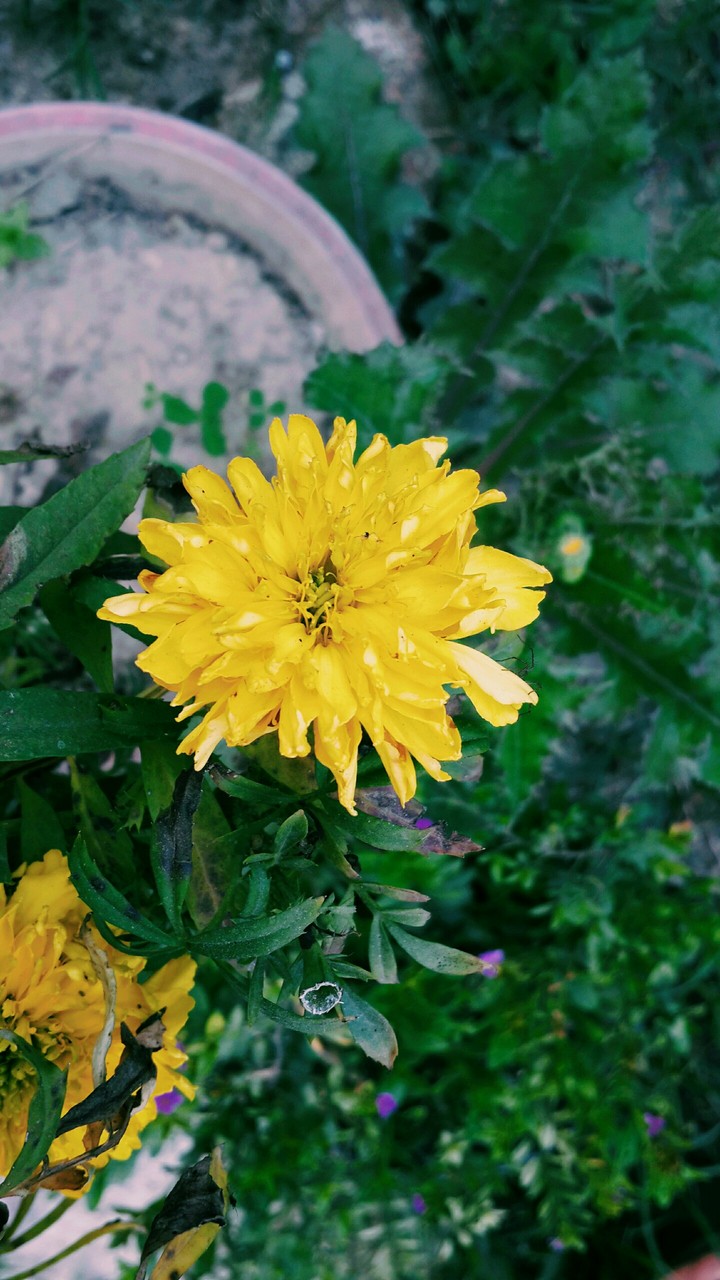 my click