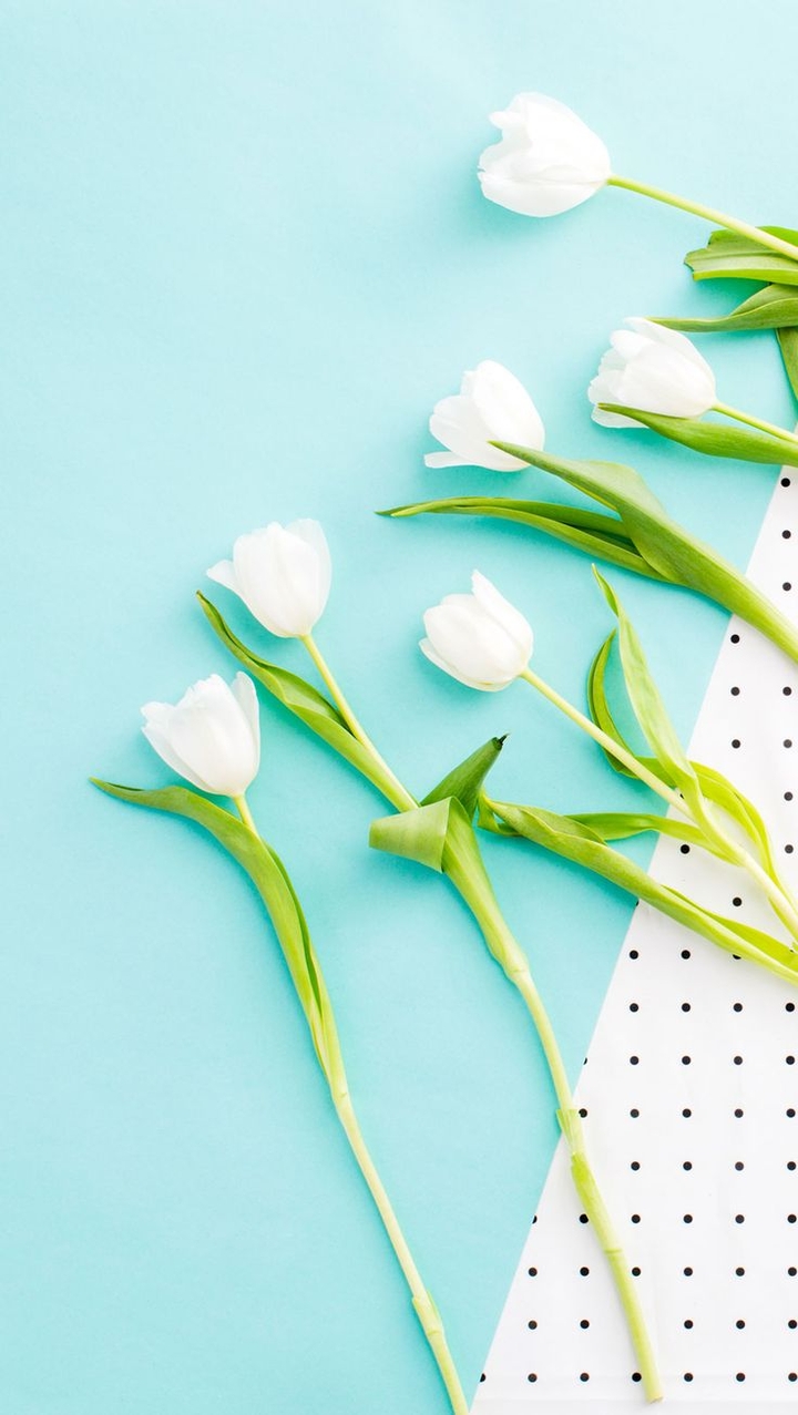 Spring Flowers