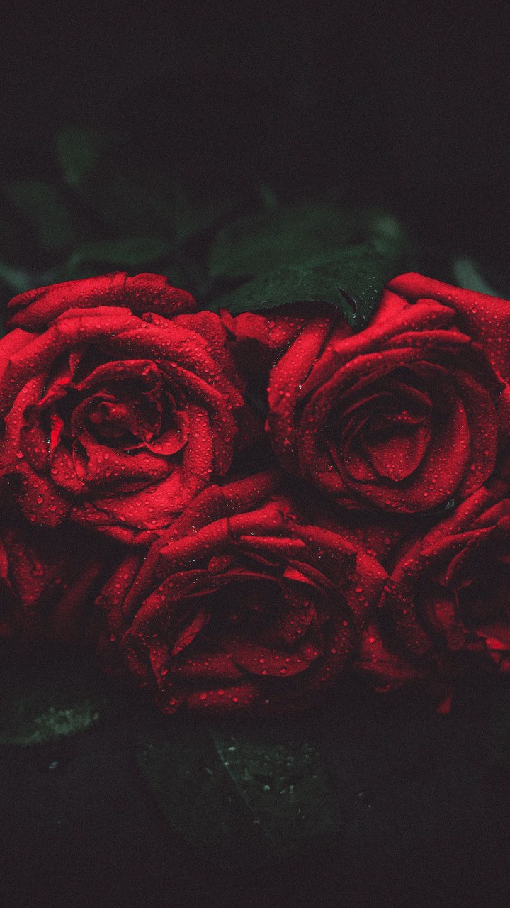 Stop and smell the roses.. :D