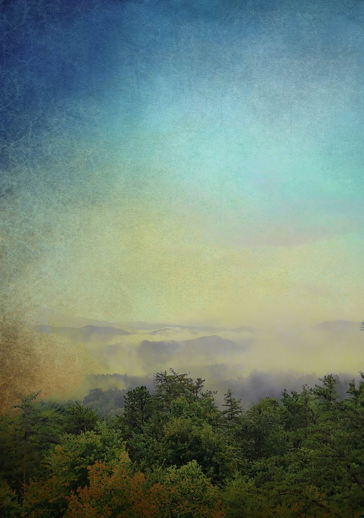 mountain fever